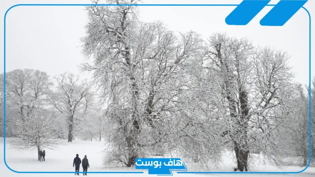 تفسير رؤية تساقط الثلج في المنام لابن سيرين للعزباء في الصيف