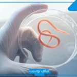 تفسير حلم رؤية ديدان في البراز المنام وخروجه من الجسم لابن سيرين