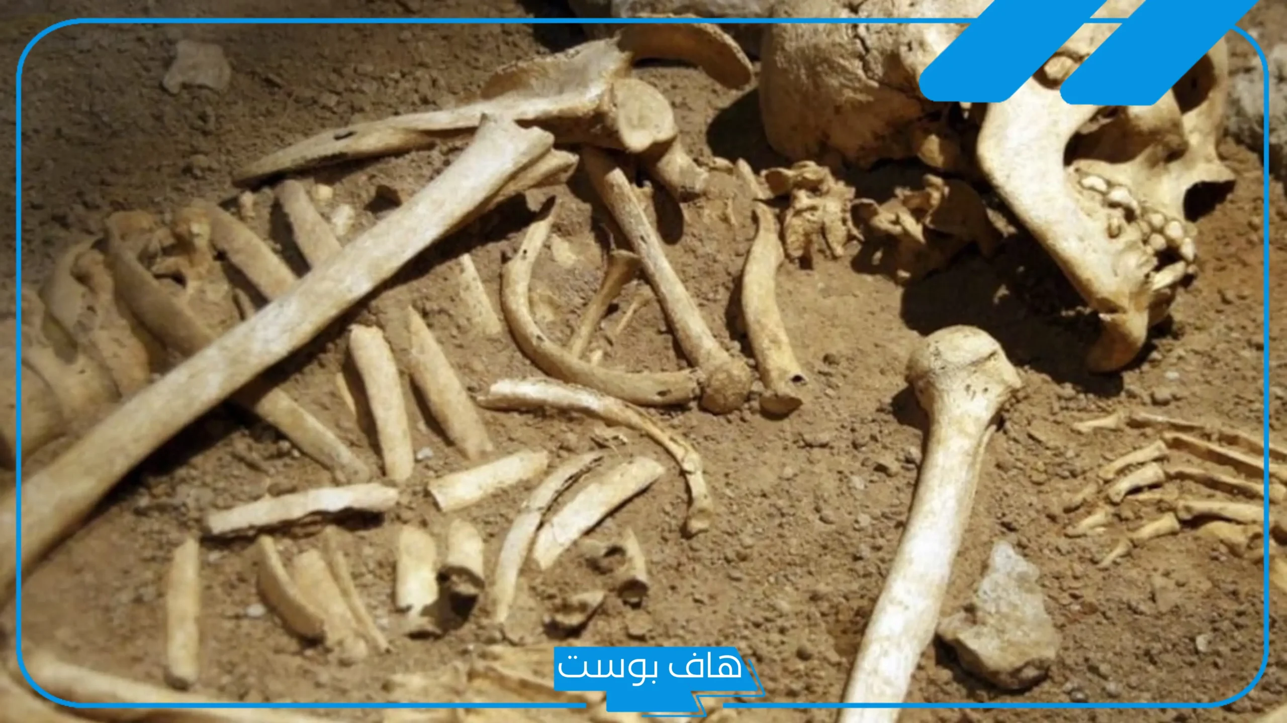 تفسير رؤية العظام في المنام عند ابن سيرين للمتزوجة والحامل والعزباء