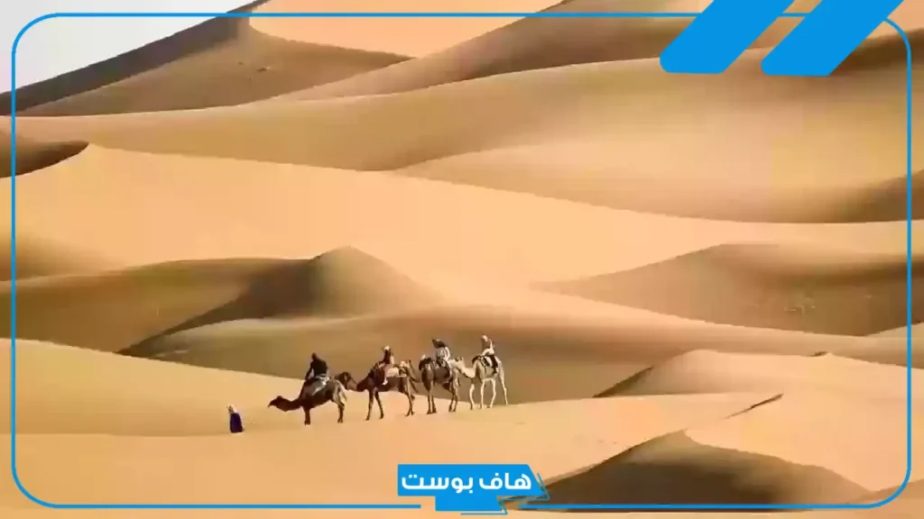 المسعودي وش يرجع النسب؟ أفخاذ قبيلة المسعود ورمزها