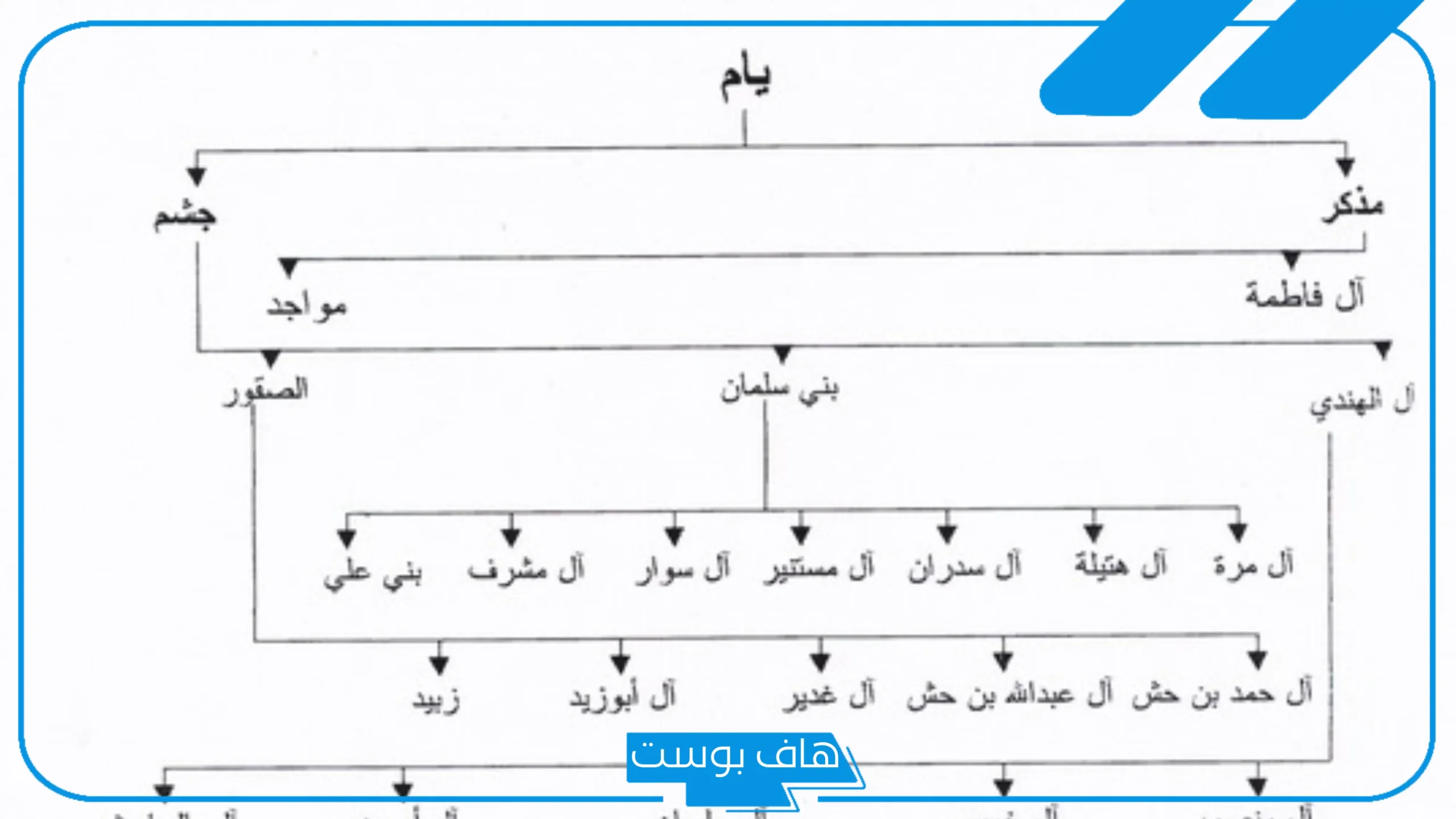 ما هو رمز قبيلة يام؟ أصل قبيلة يام وش يرجع