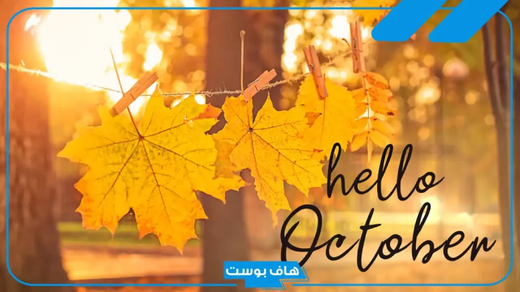 عبارات عن الخريف والأوراق المتساقطة قصيرة.. أجمل ما قيل عن الخريف من اقتباسات