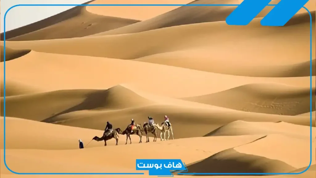اللهيبي وش يرجع نسبه، فروع قبيلة اللهيبي وشجرة العائلة