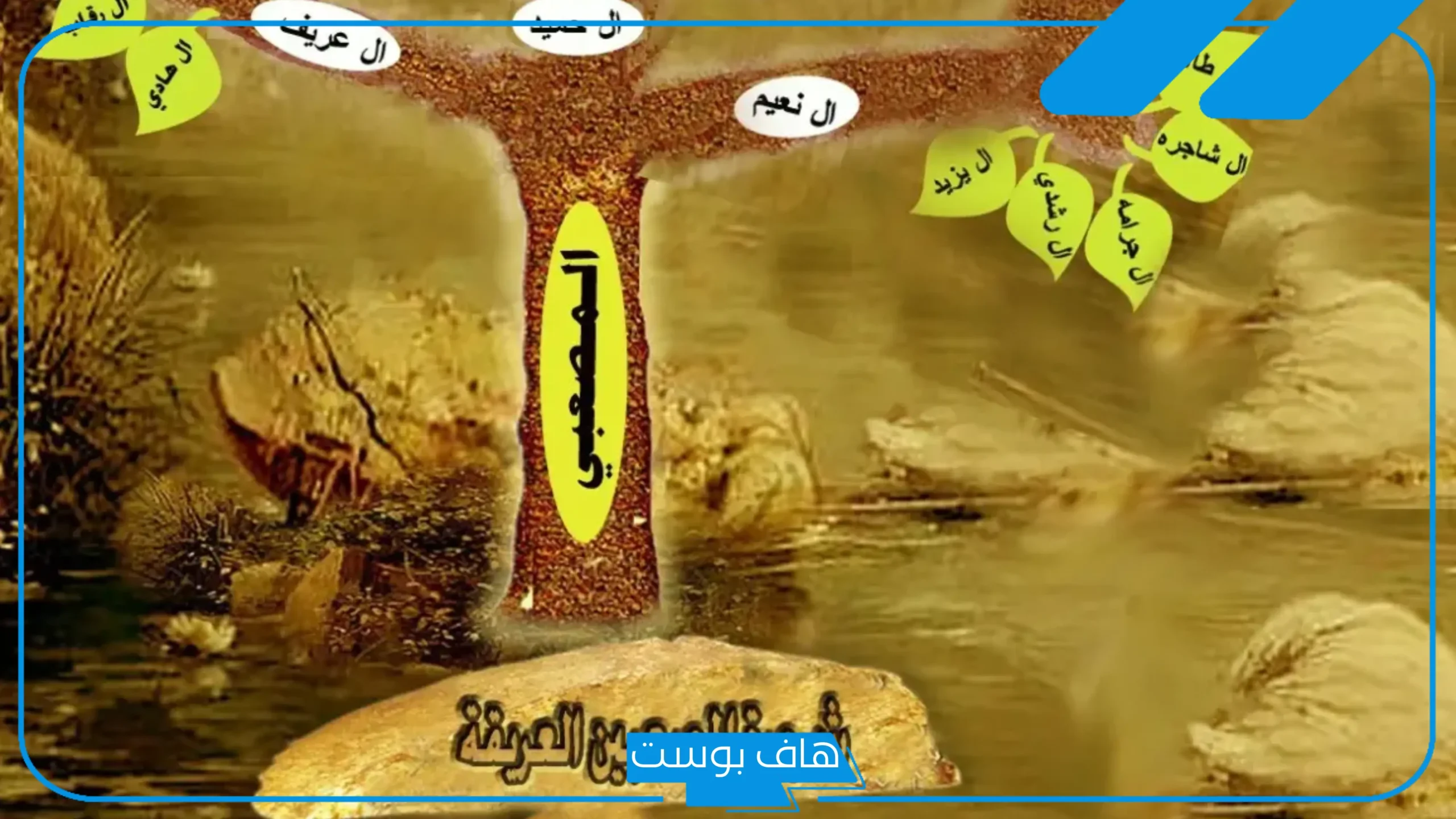 المصعبي وش يرجع النسب؟ فخوذ قبيلة المصعبي وفروعها