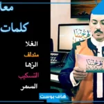 كلمات بدويه ومعناها بالحضري.. كلمات مدح بدوية