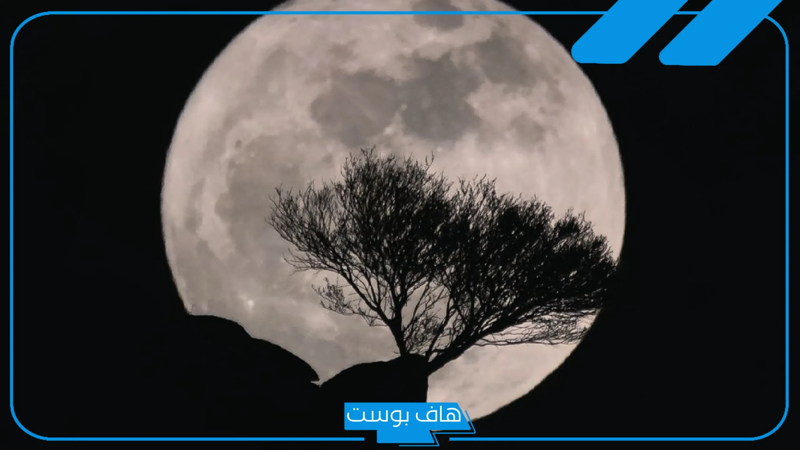 كلمات عن القمر والغيم والليل تويتر جميل.. عبارات عن القمر سناب