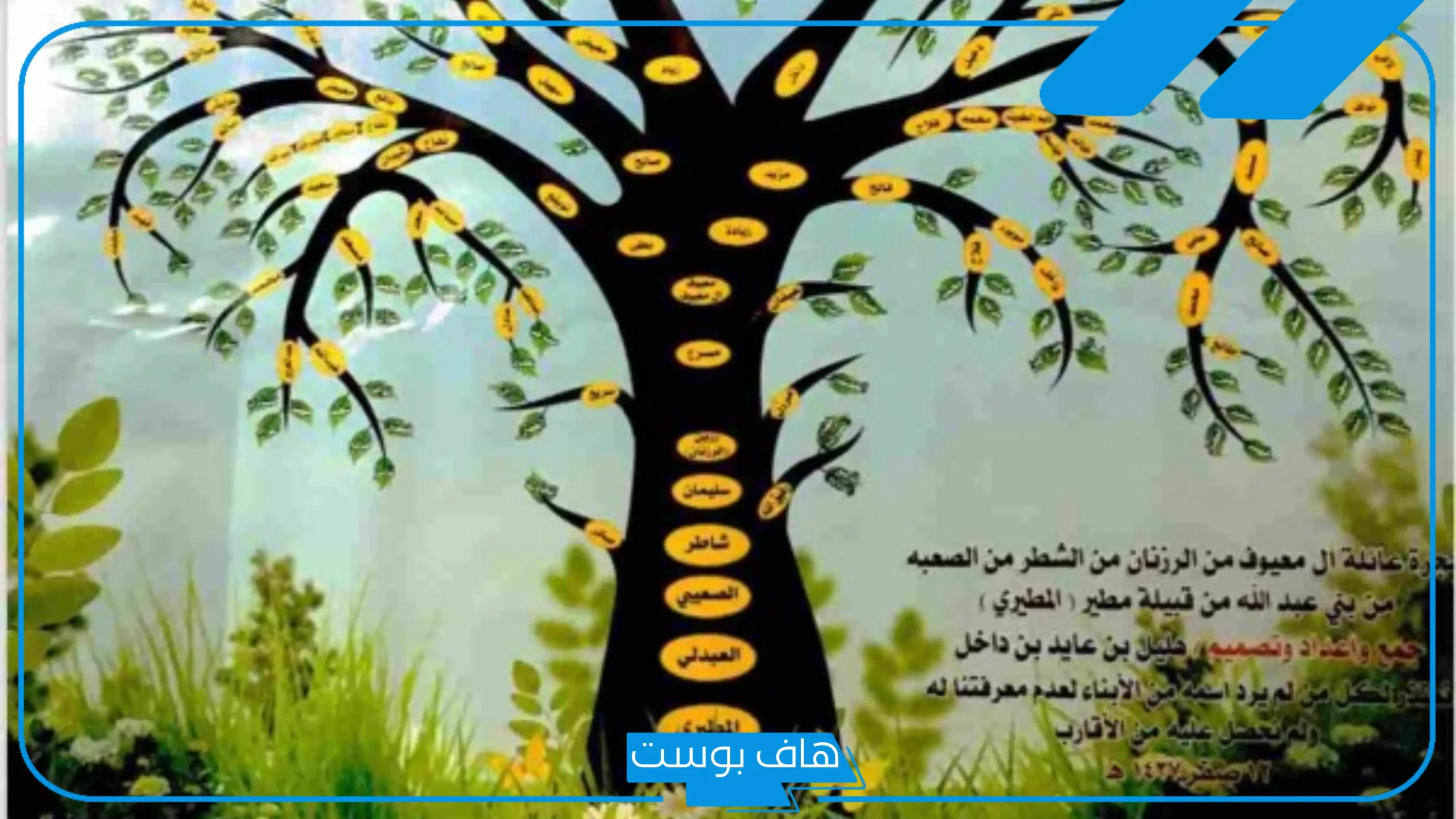 المعيوف وش يرجع نسبه وأصله؟ فخوذ قبيلة المعيوف، ديار قبيلة المعيوف