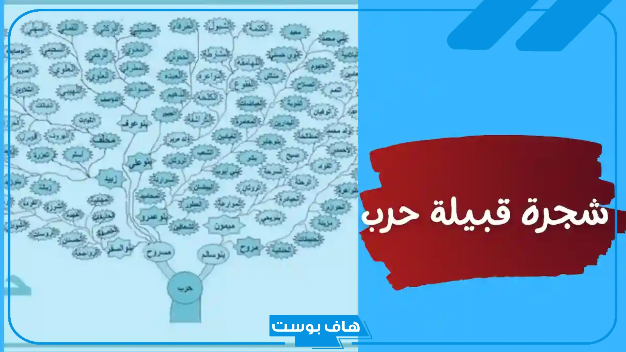 شجرة قبيلة حرب بالفروع.. أفخاذ قبيلة حرب وعدد أفرادها