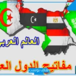 234 مفتاح اي دولة عربية؟ كيفية استخدام مفتاح الدولة