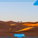 المعيوف وش يرجع نسبه وأصله؟ فخوذ قبيلة المعيوف، ديار قبيلة المعيوف