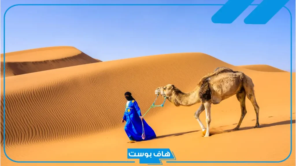 المسردي وش يرجع أصله ونسبه.. فروع عائلة المسردي