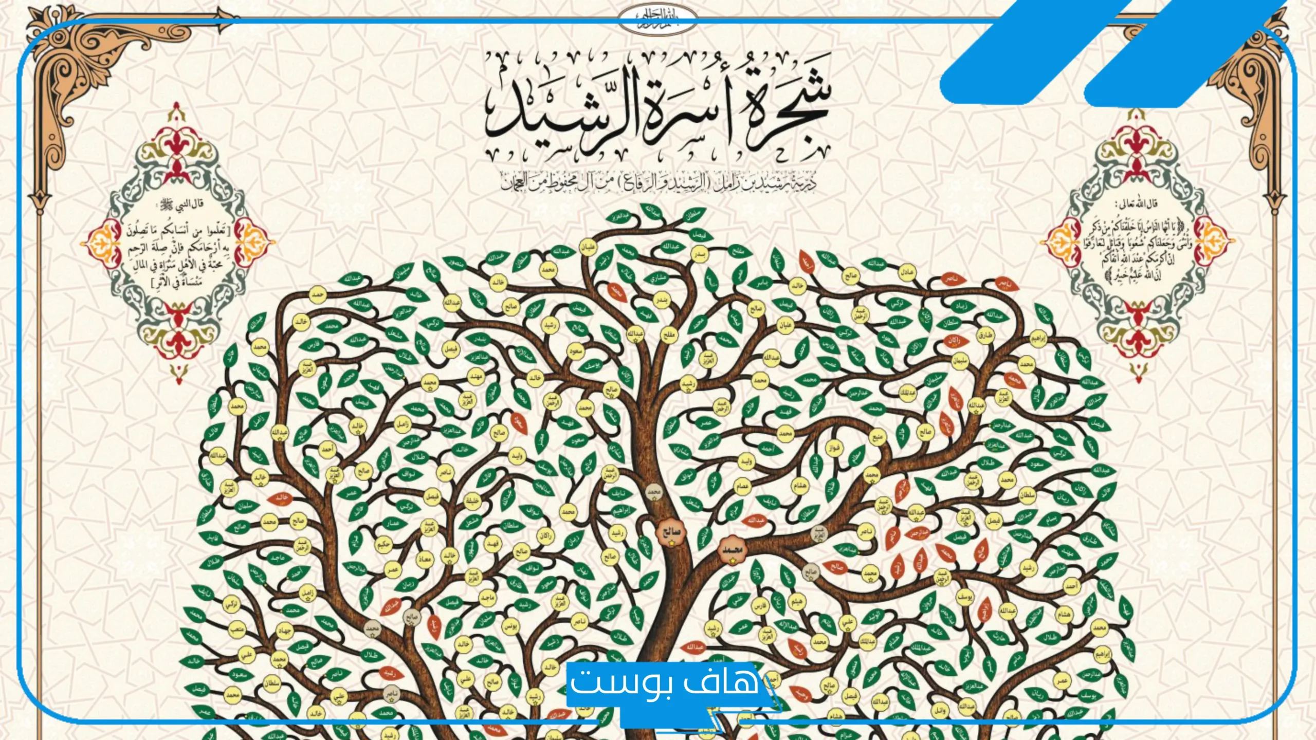 الرشيد وش يرجعون؟ ما هو أصل عائلة الرشيد؟