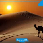 البراك وش يرجعون الأصل.. فروع قبيلة البراك وفخوذها