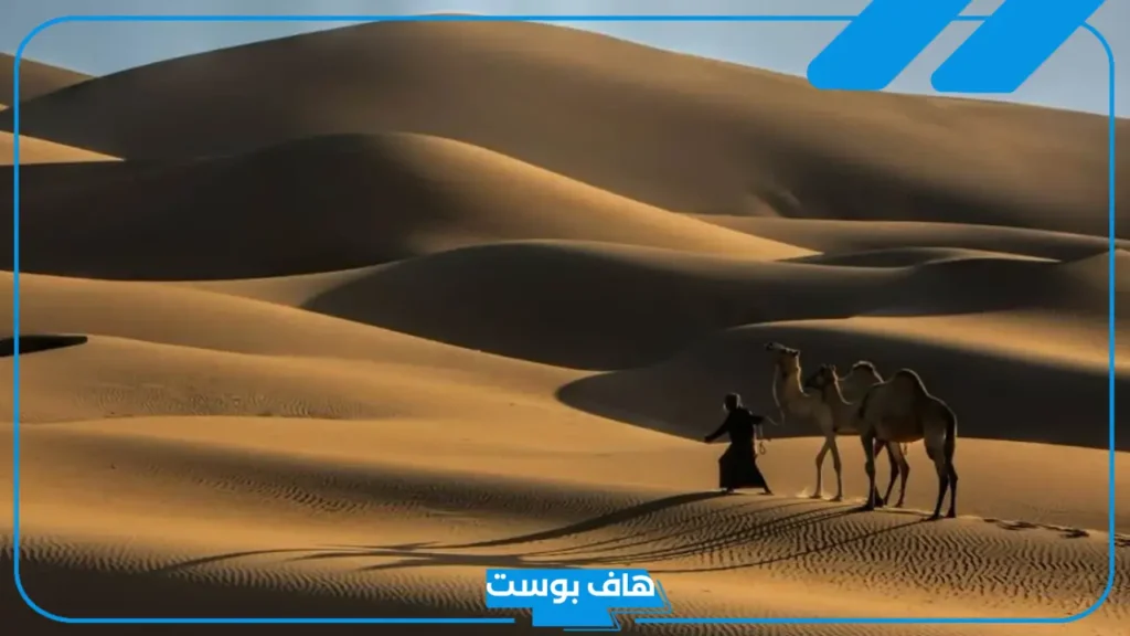 الحبيشي وش يرجع نسبه؟ ديار الحبيشي وين وفروع العائلة