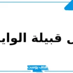 الوايلي وش يرجع نسبه؟ شخصيات وأعلام من قبيلة الوايلي