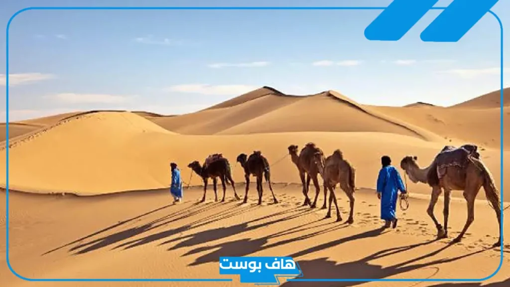 الجميعي وش يرجع وفروعها من وين.. اين تسكن قبيلة الجميعي؟