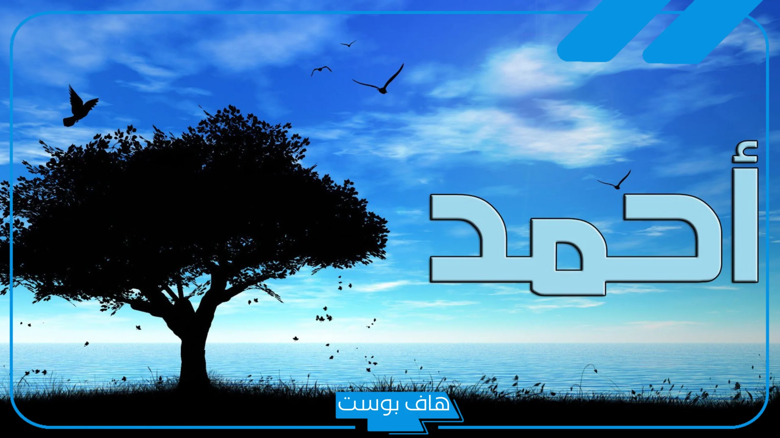تفسير اسم احمد في المنام للرجل والمرأة ورمزه للعالم ابن سيرين