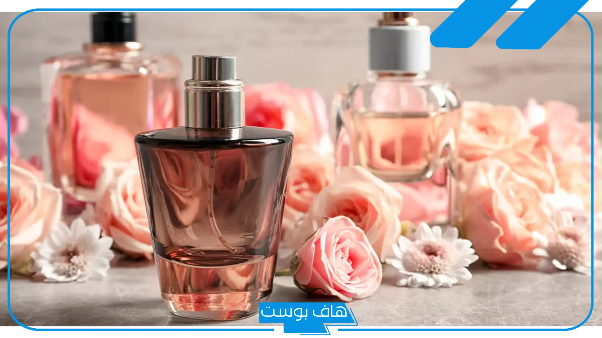 تفسير حلم رؤية العطر في المنام للعزباء ورشه للعالم ابن سيرين