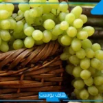تفسير حلم العنب الاخضر في المنام للمتزوجة والحامل والعزباء لابن سيرين
