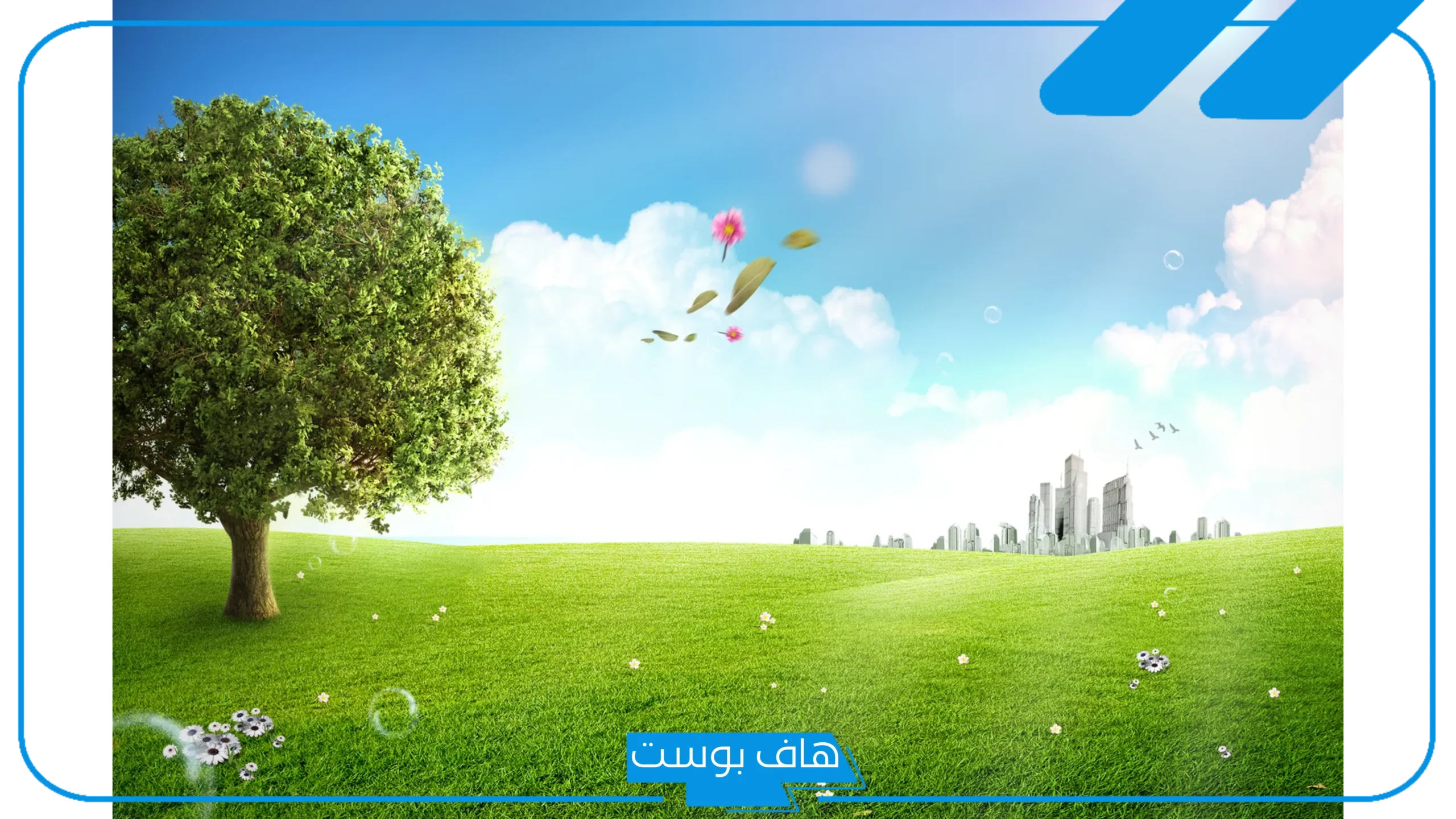 تفسير حلم رؤية ارض خضراء واسعة كبيرة والمشي فيها لابن سيرين