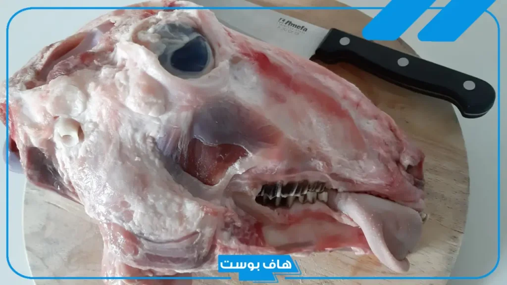 تفسير حلم رأس الخروف غير مطبوخ في المنام للمتزوجة والعزباء لابن سيرين