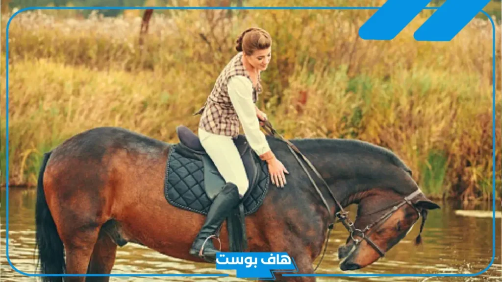 تفسير حلم ركوب الخيل للعزباء والمتزوجة في المنام لابن سيرين
