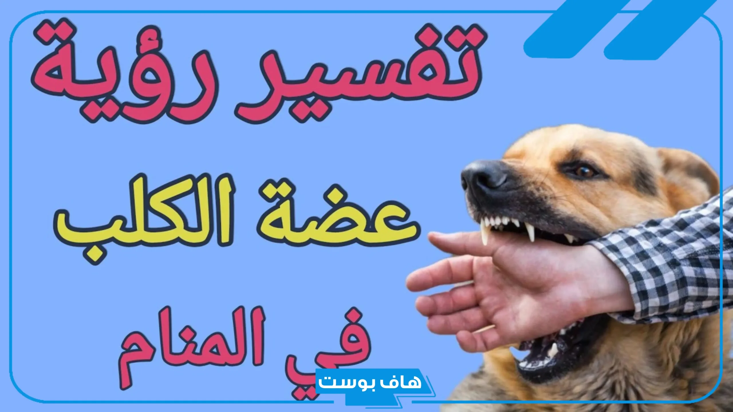 تفسير حلم كلب يعضني في اليد اليمنى وخروج الدم لابن سيرين في المنام