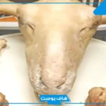 تفسير رؤية راس الخروف في المنام غير مطبوخ للمرأة لابن سيرين