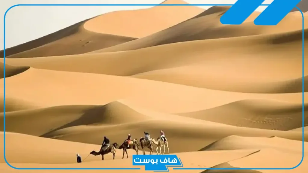 البقوم وش يرجعون النسب.. ديرة قبيلة البقوم وين وأشهر أعلامها