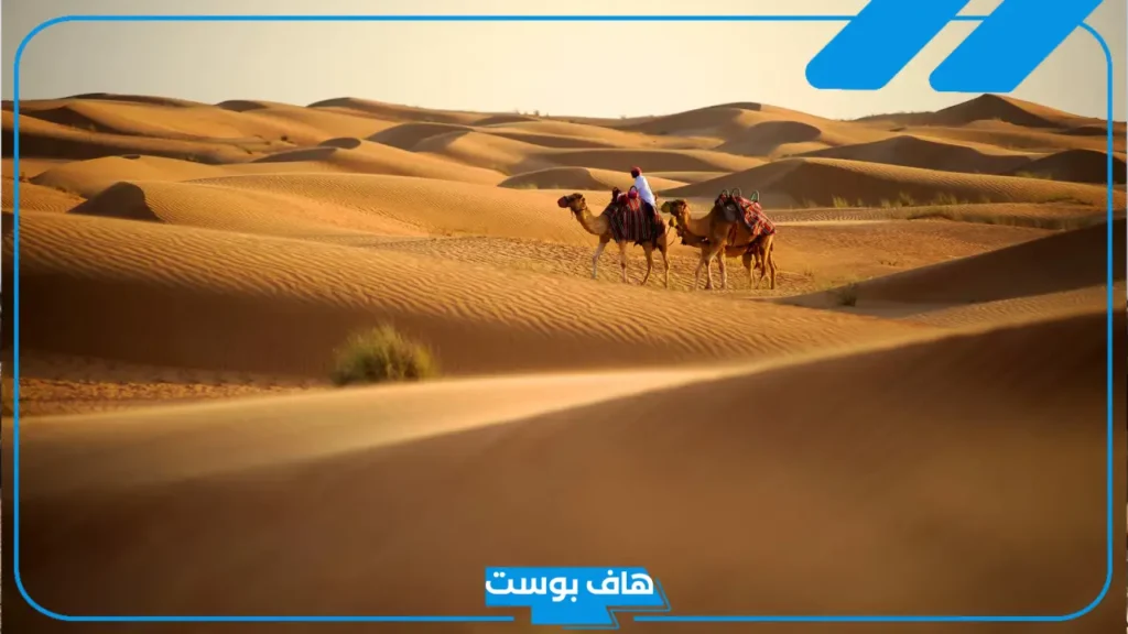الحسني وش يرجع.. فروع قبيلة الحسني وفخوذها