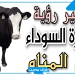 حلمت بقره في المنام للرجل والمرأة المتزوجة والعزباء لابن سيرين