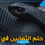تفسير حلم ثعابين صغيرة في المنام للرجل وللمتزوجة وقتلها لابن سيرين
