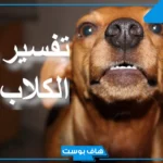 تفسير حلم الكلب البني في المنام ونباحه للمتزوجة والعزباء لابن سيرين