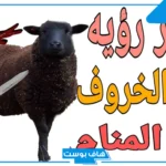 تفسير حلم رؤية شخص يذبح خروف في المنام للمتزوجة لابن سيرين
