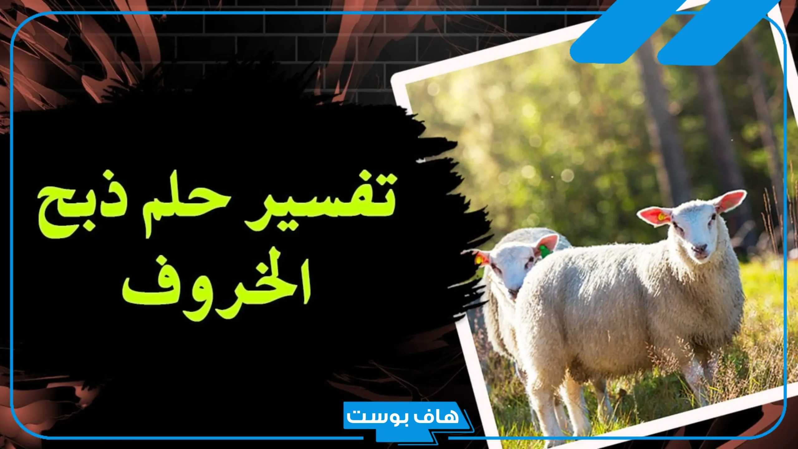 تفسير حلم رؤية شخص يذبح خروف في المنام للمتزوجة لابن سيرين
