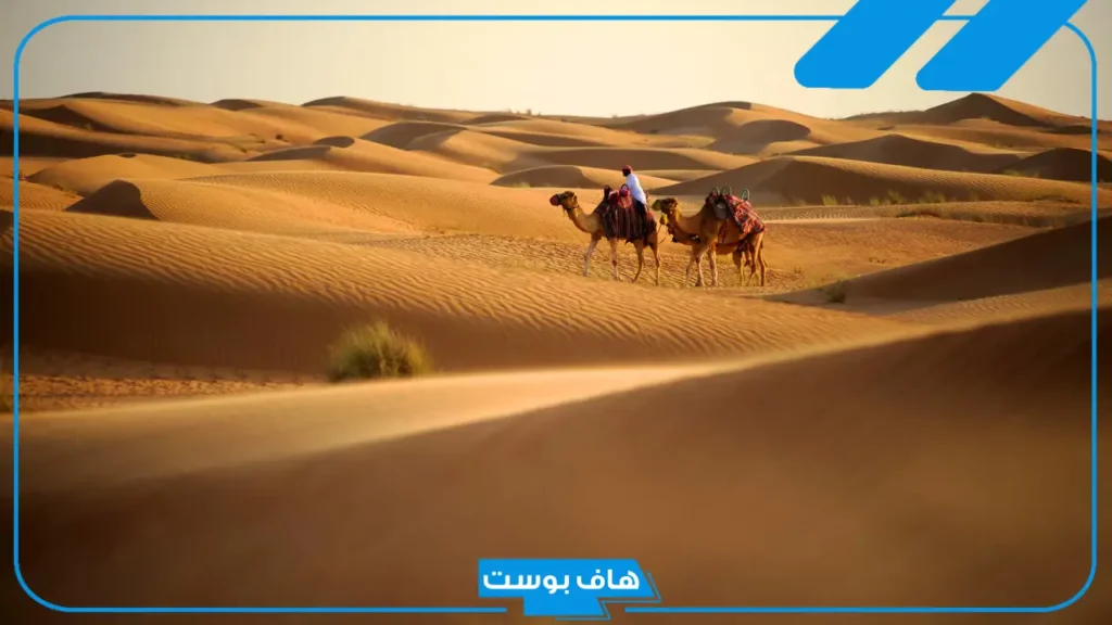 المزيني وش يرجع أصله؟ شيخ قبيلة مزينة من حرب وفخوذها