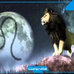 ما هو برج شهر 8؟ صفات المرأة والرجل مواليد شهر 8