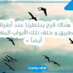 أجمل عبارات عن الأمل بالله والصبر والطموح قصيرة تويتر