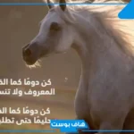 أجمل كلام وعبارات عن الخيل والمرأة انستقرام وتويتر