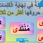 كلمة تنتهي بالف ممدودة أو مقصورة في اللغة العربية