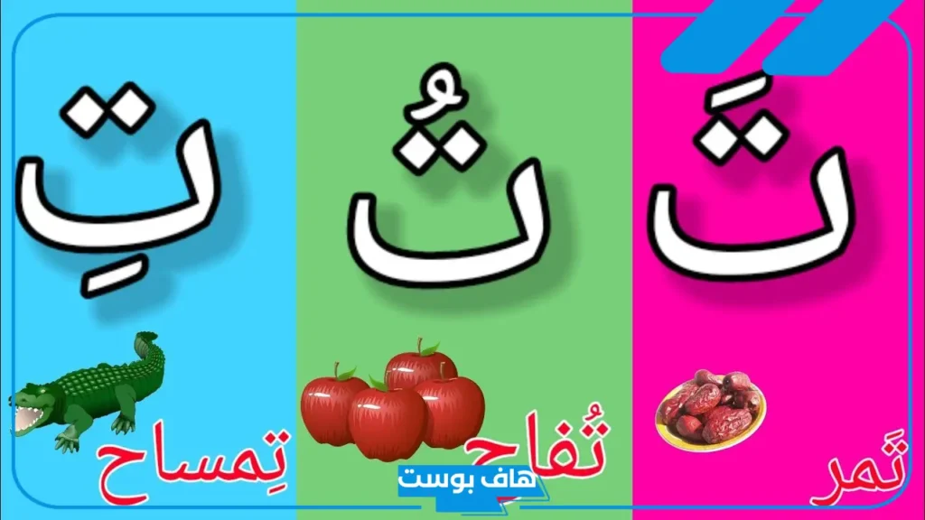 كلمات تبدأ بحرف ت للأطفال الصف الأول الابتدائي