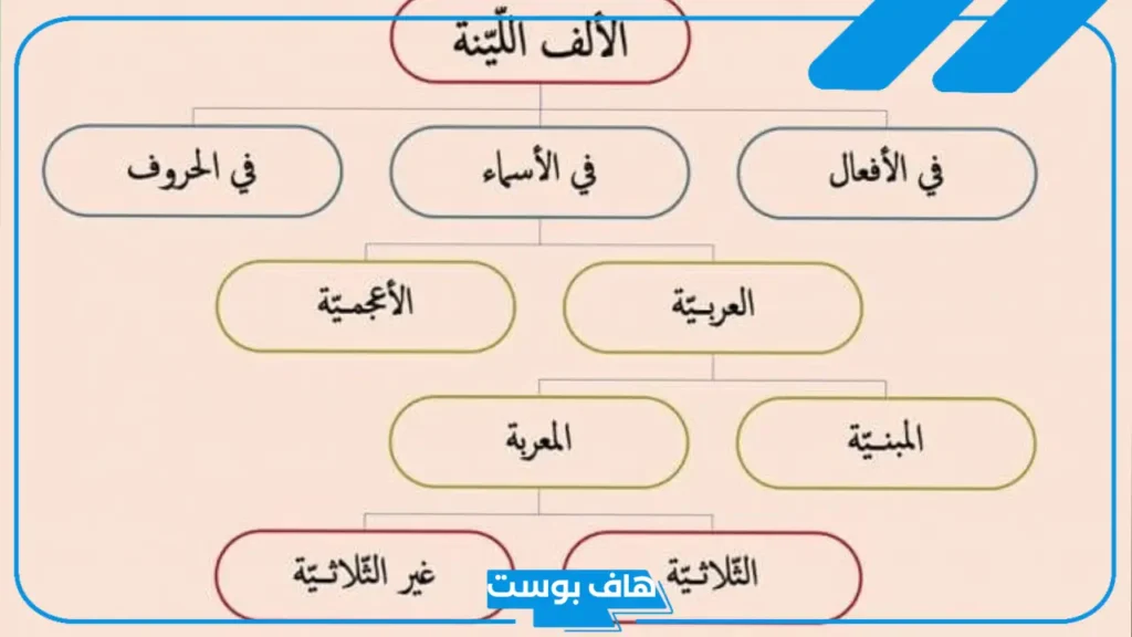 كلمة تنتهي بالف ممدودة أو مقصورة في اللغة العربية
