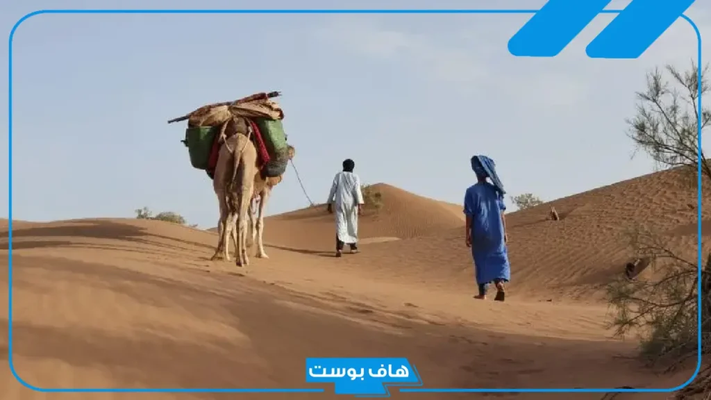 الجطيلي وش يرجعون.. أعلام شخصيات مشهورة من قبيلة الجطيلي