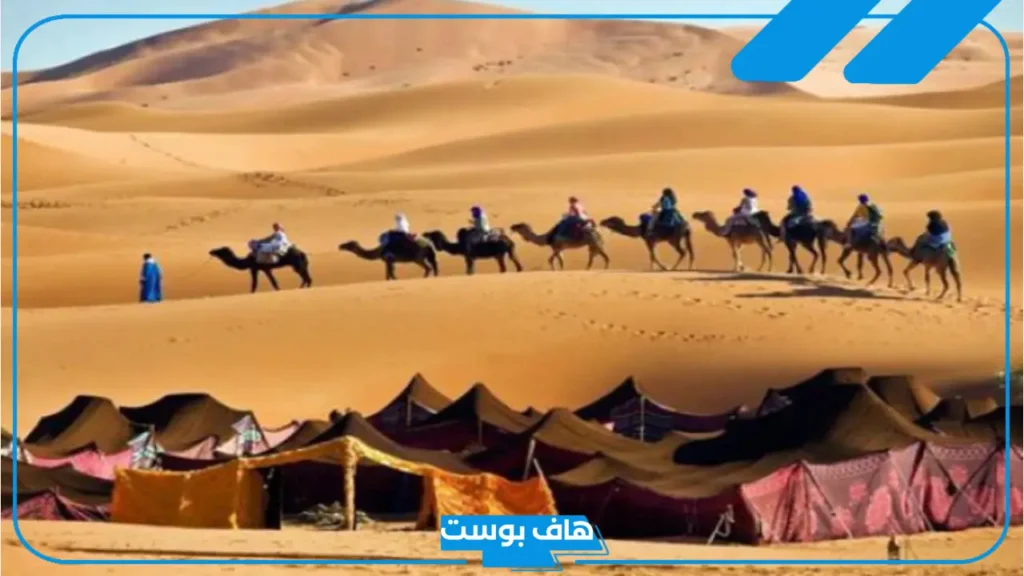 الحبردي وش يرجع أصله.. ديرة قبيلة الحبردي وين 