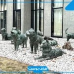 معلومات عن الكلاب وعن حياتها.. عشر صفات للكلب