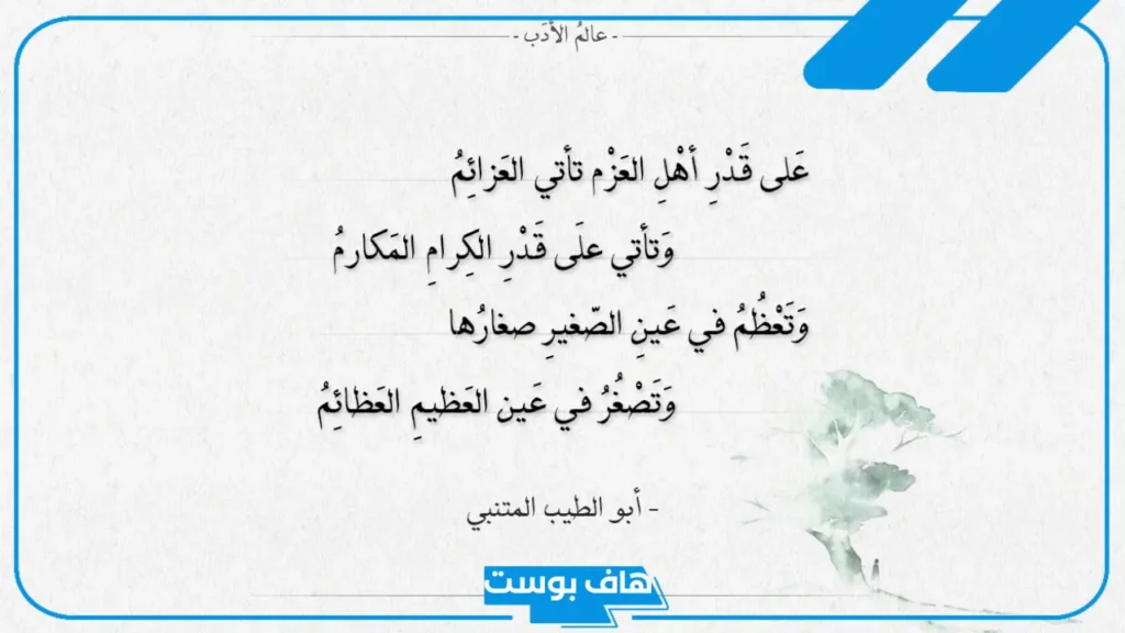 أبيات شعر عن العلم للمتنبي.. أجمل الخواطر والعبارات والكلمات عن العلم