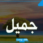 معنى ورمز اسم جميل في المنام للمرأة العزباء والمتزوجة لابن سيرين