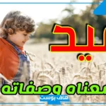 تفسير رؤية اسم عيد في المنام ورمزه للعزباء عند ابن سيرين