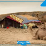 الجبرين وش يرجعون.. أعلام وشخصيات من قبيلة الجبرين