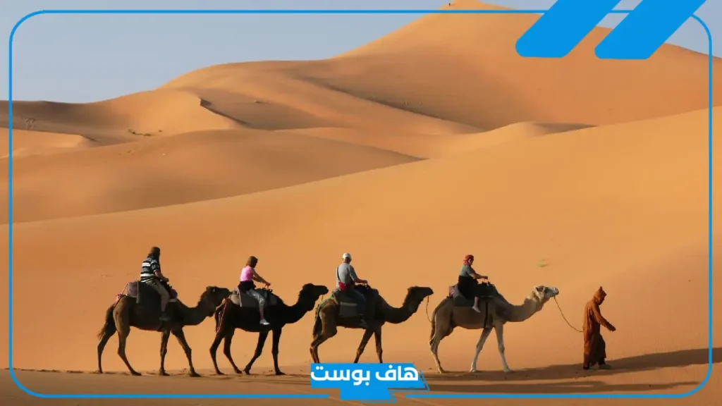 الحذيفي وش يرجع الأصل والنسب.. ديرة عائلة الحذيفي وين؟